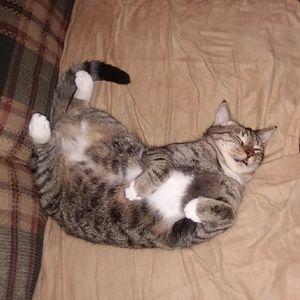 Meet your Posher, Inge